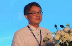 万碧玉：中国城镇化过快将加大城市压力
