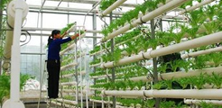 陕西省杨凌农业示范区